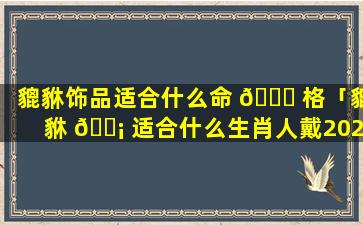 貔貅饰品适合什么命 🐈 格「貔貅 🐡 适合什么生肖人戴2021年」